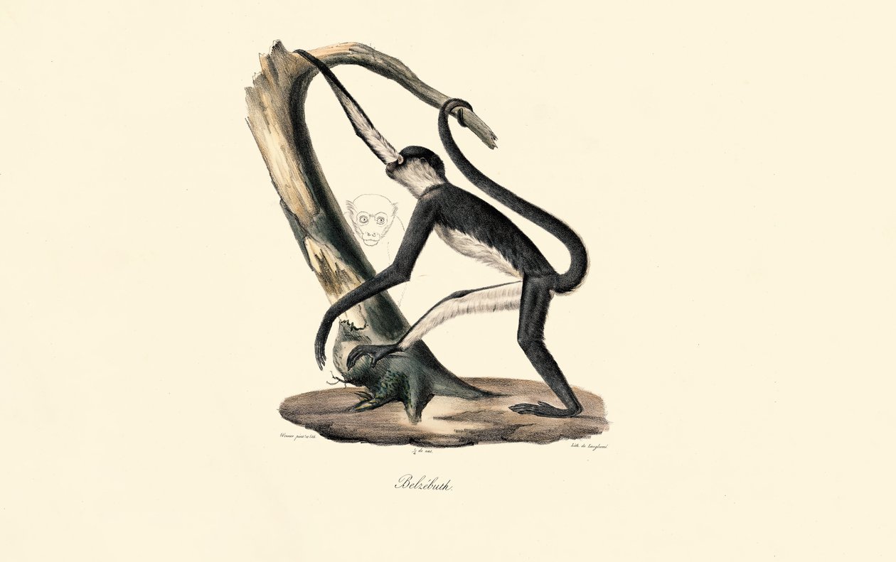  av Jacques Christophe Werner