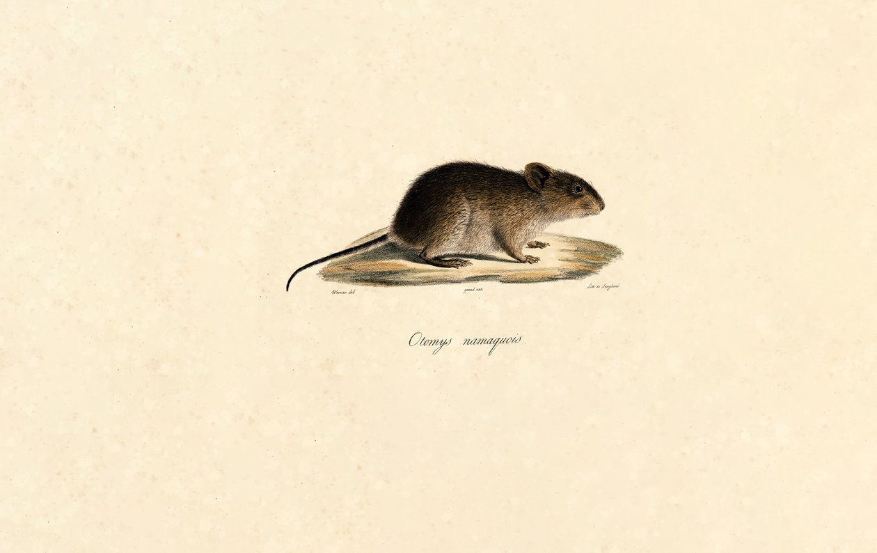  av Jacques Christophe Werner