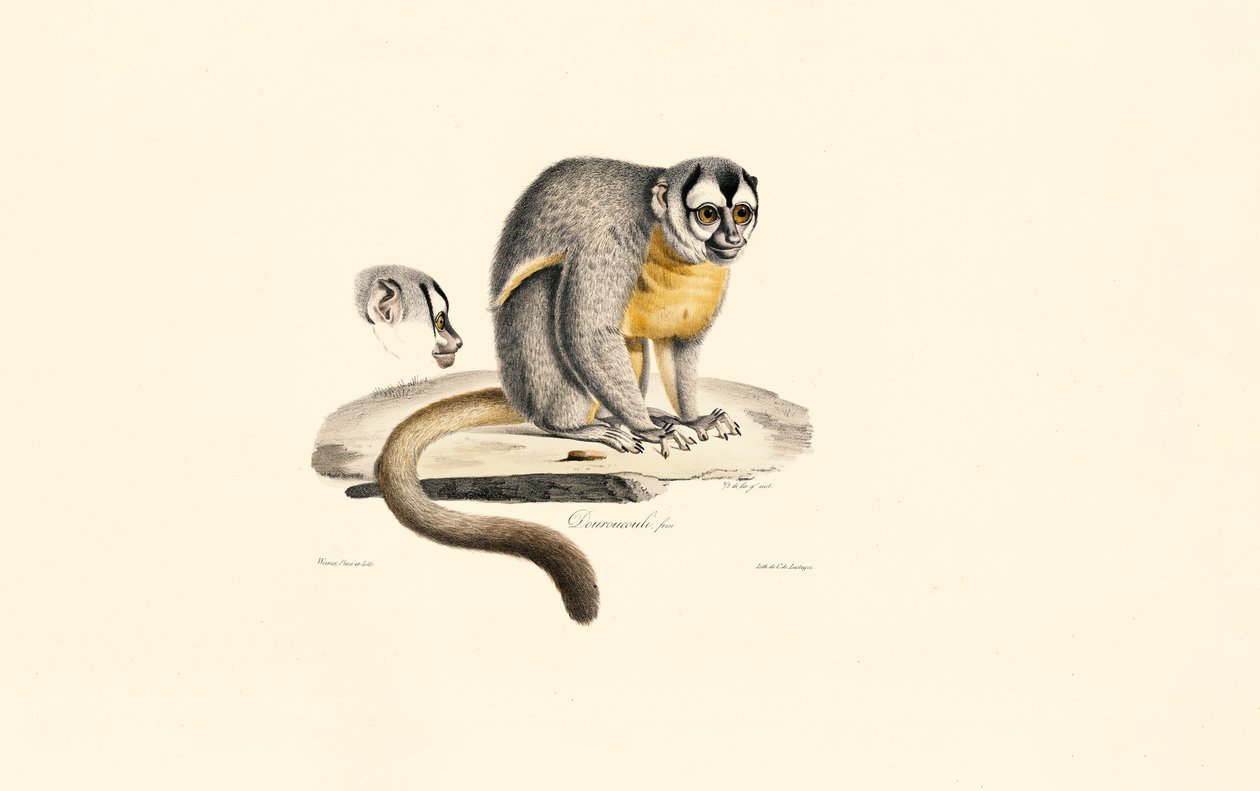 Nattap av Jacques Christophe Werner