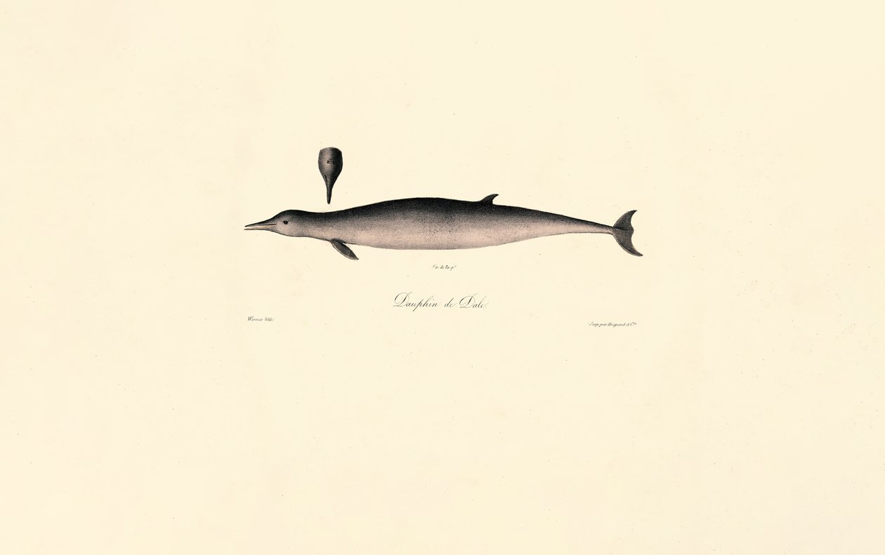  av Jacques Christophe Werner
