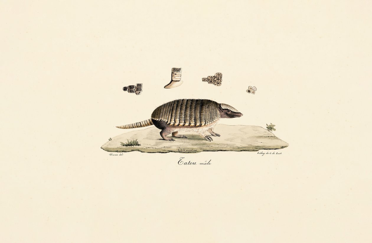  av Jacques Christophe Werner