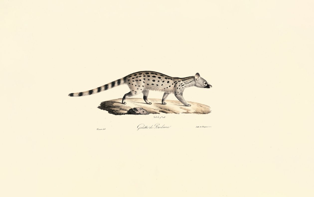  av Jacques Christophe Werner