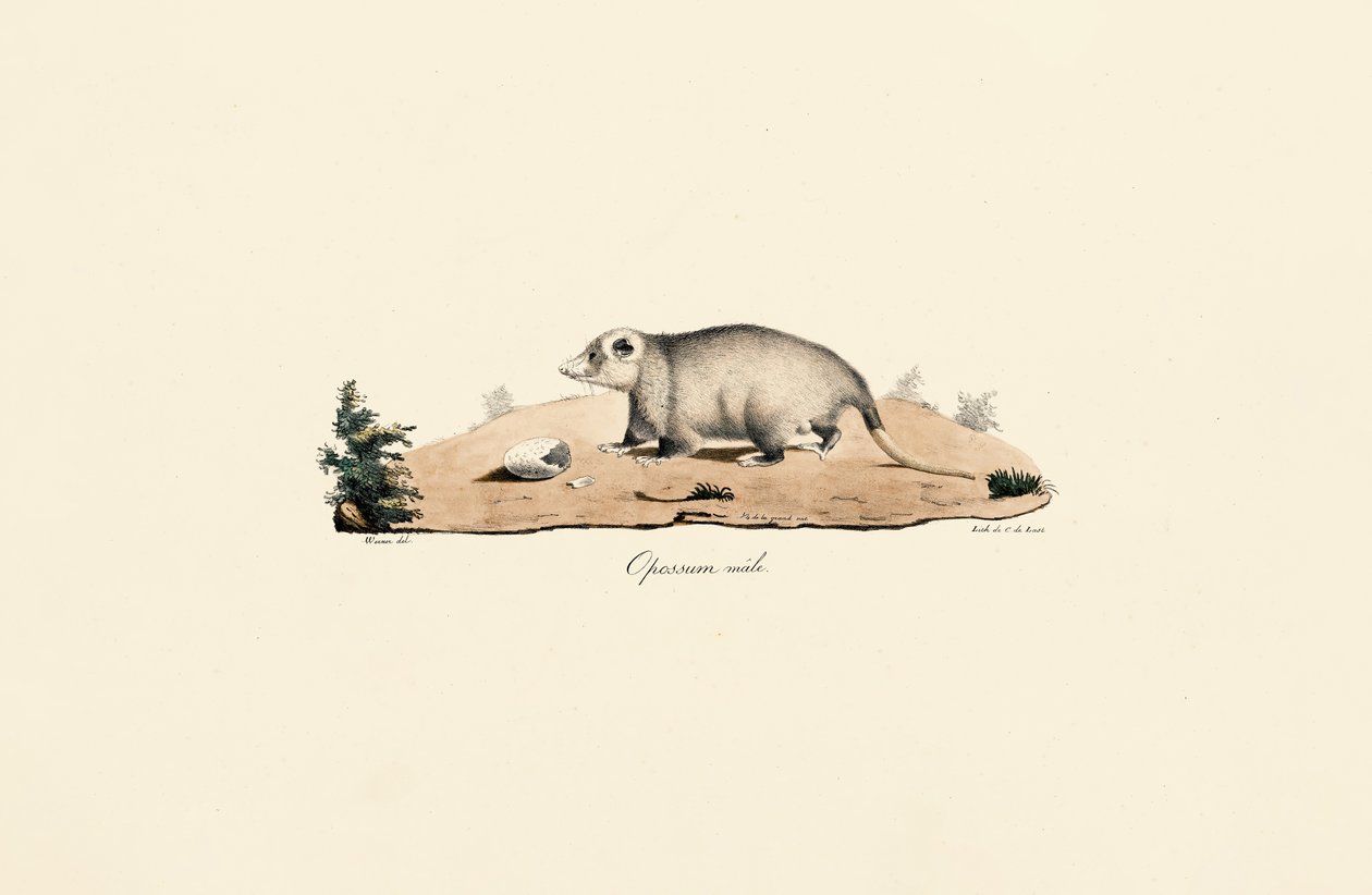  av Jacques Christophe Werner