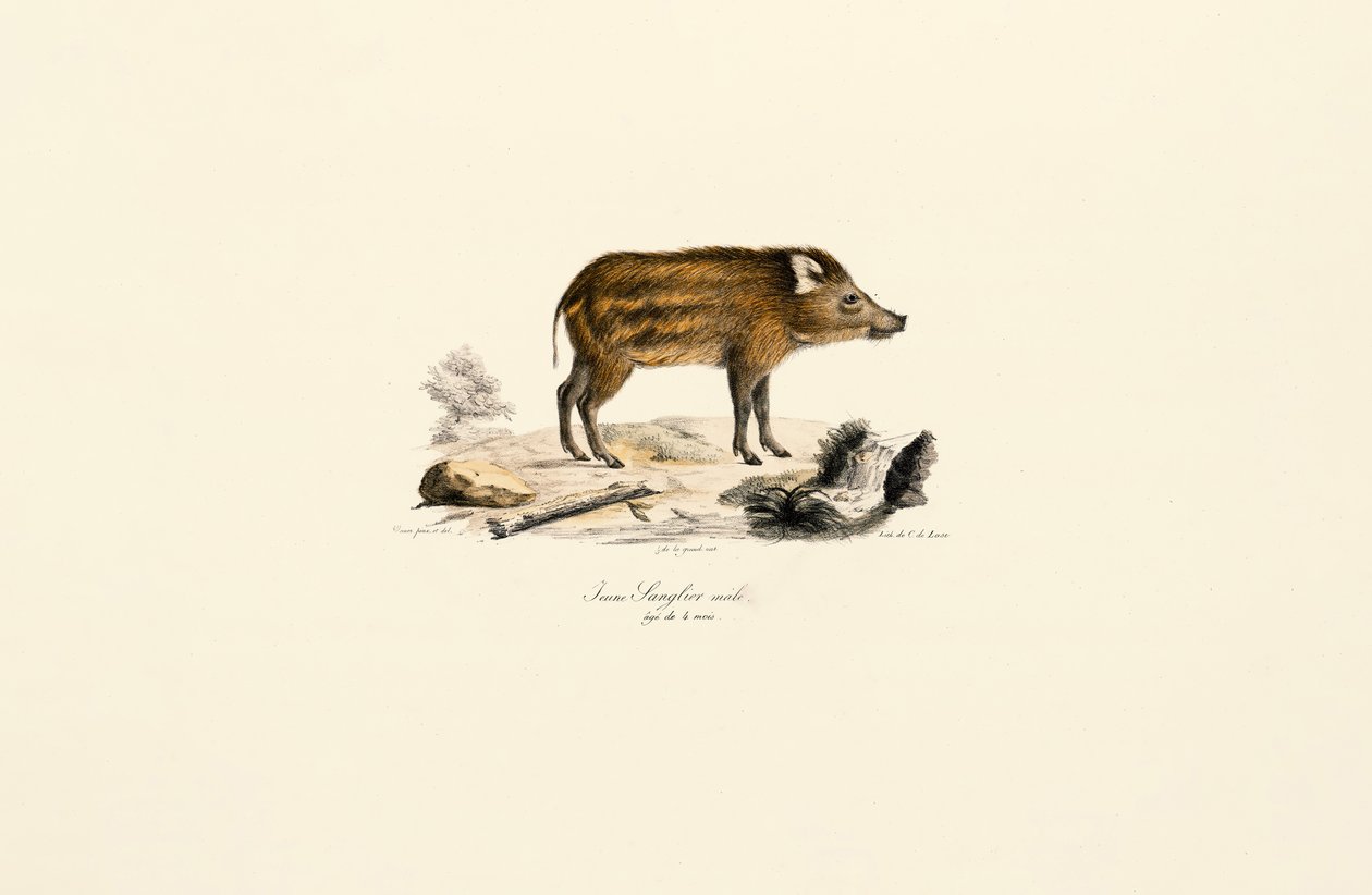  av Jacques Christophe Werner