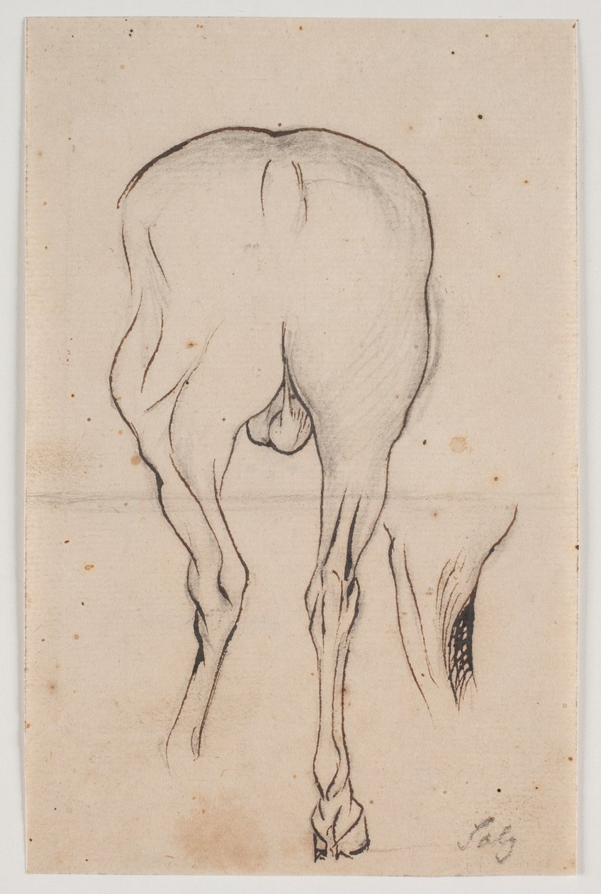 Hest sett bakfra og et hestebein av Jacques Francois Joseph Saly