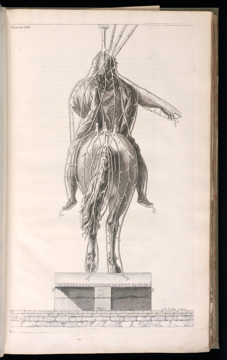 Innbundet trykk (Frankrike) av Jacques François Blondel