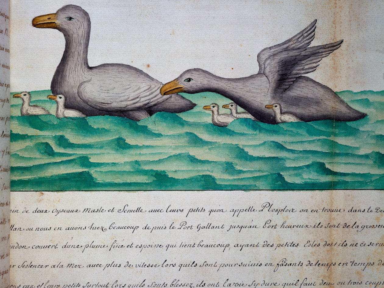 Ender kalt Ploplos, Magellanstredet, akvarell fra loggbok av Jacques Gouin de Beauchesne (1652-1730), kaptein for Compagnie royale de la Mer du Sud, fra 1698 til 1701, Frankrike av Jacques Gouin de Beauchesne