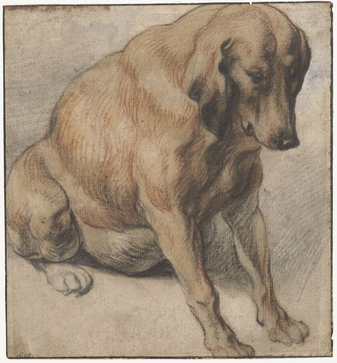 Sittende hund Sittende gravid hund av Jacques Jordaens