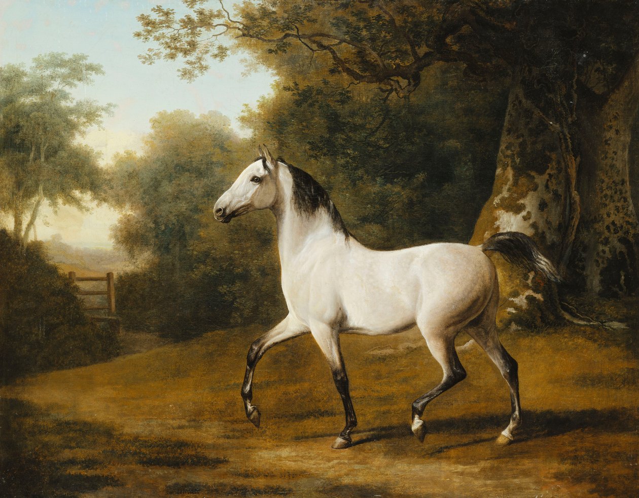 En grå arabisk hingst i et skogslandskap, av Jacques Laurent Agasse