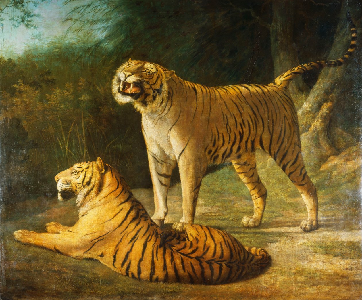 En tiger og tigress ved Exeter "Change Menagerie i 1808, 1808 av Jacques Laurent Agasse