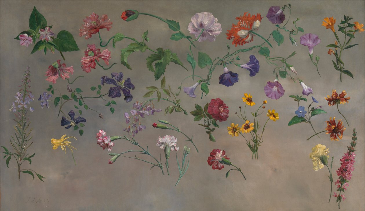 Studies of Flowers [1985, Cormack, YCBA Concise Catalogue] av Jacques Laurent Agasse