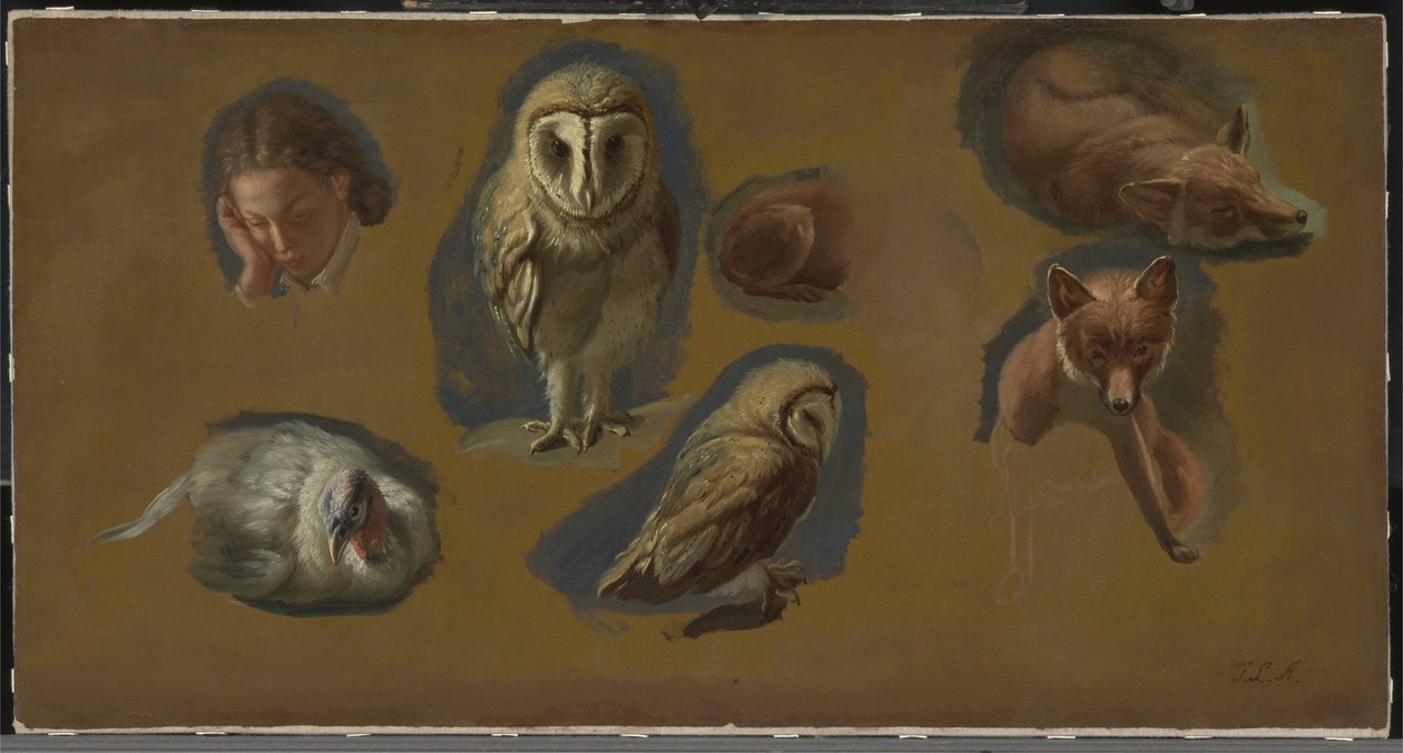 Studier av en rev, en barnugle, en påne og et ungmannshode av Jacques Laurent Agasse