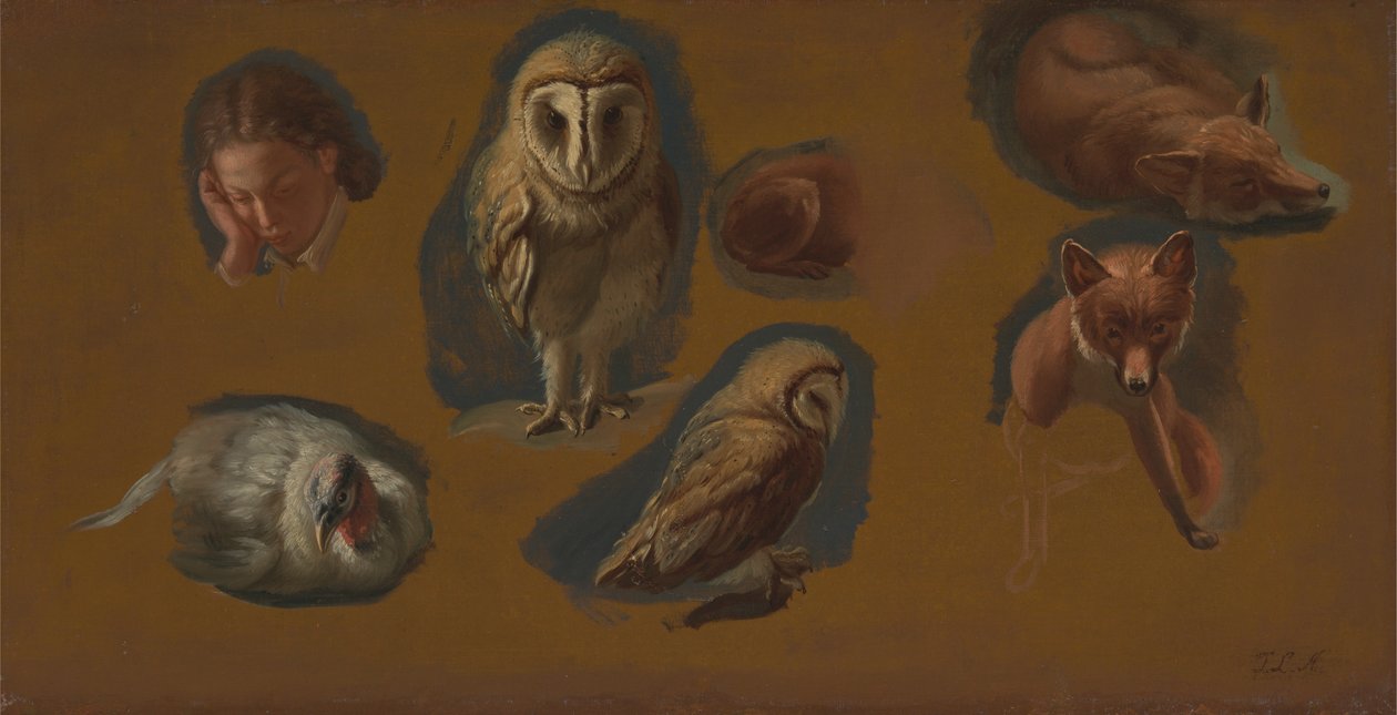 Studier av en rev, en barnugle, en pønn og hodet til en ung mann av Jacques Laurent Agasse