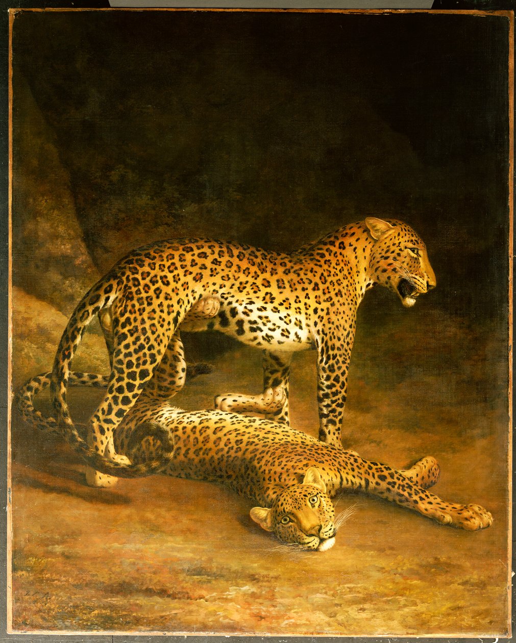 To leoparder liggende i Exeter Exchange, 1808 av Jacques Laurent Agasse