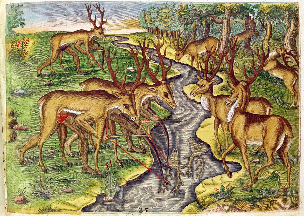 Stag Hunt, fra 