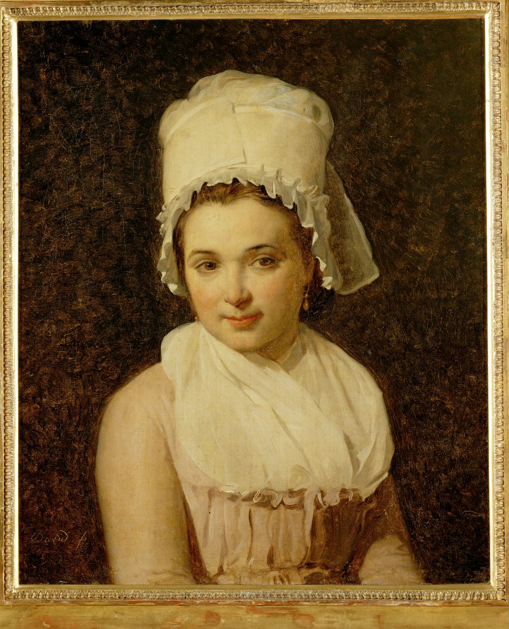  av Jacques Louis David