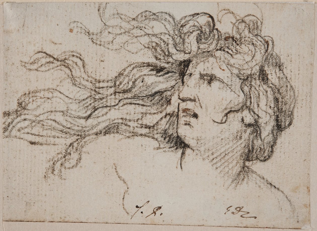 Kvinnehode med flagrende hår av Jacques Louis David