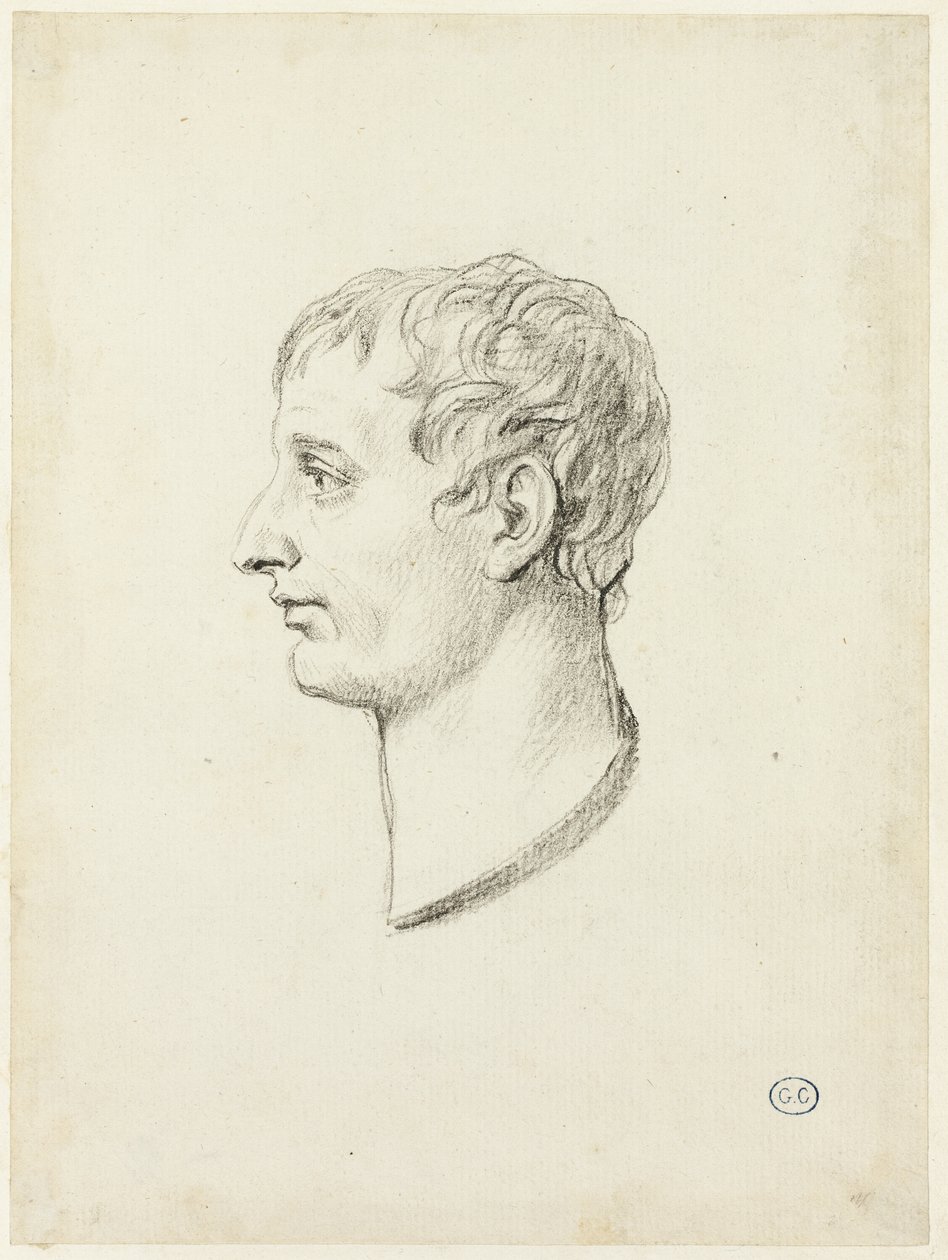 Profil av Napoleon av Jacques Louis David