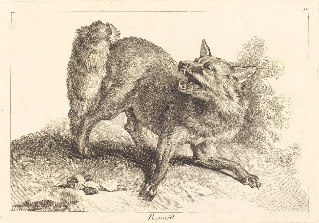 Renard (Fox) av Jacques Philippe Le Bas and Jean Eric Rehn after Jean Baptiste Oudry