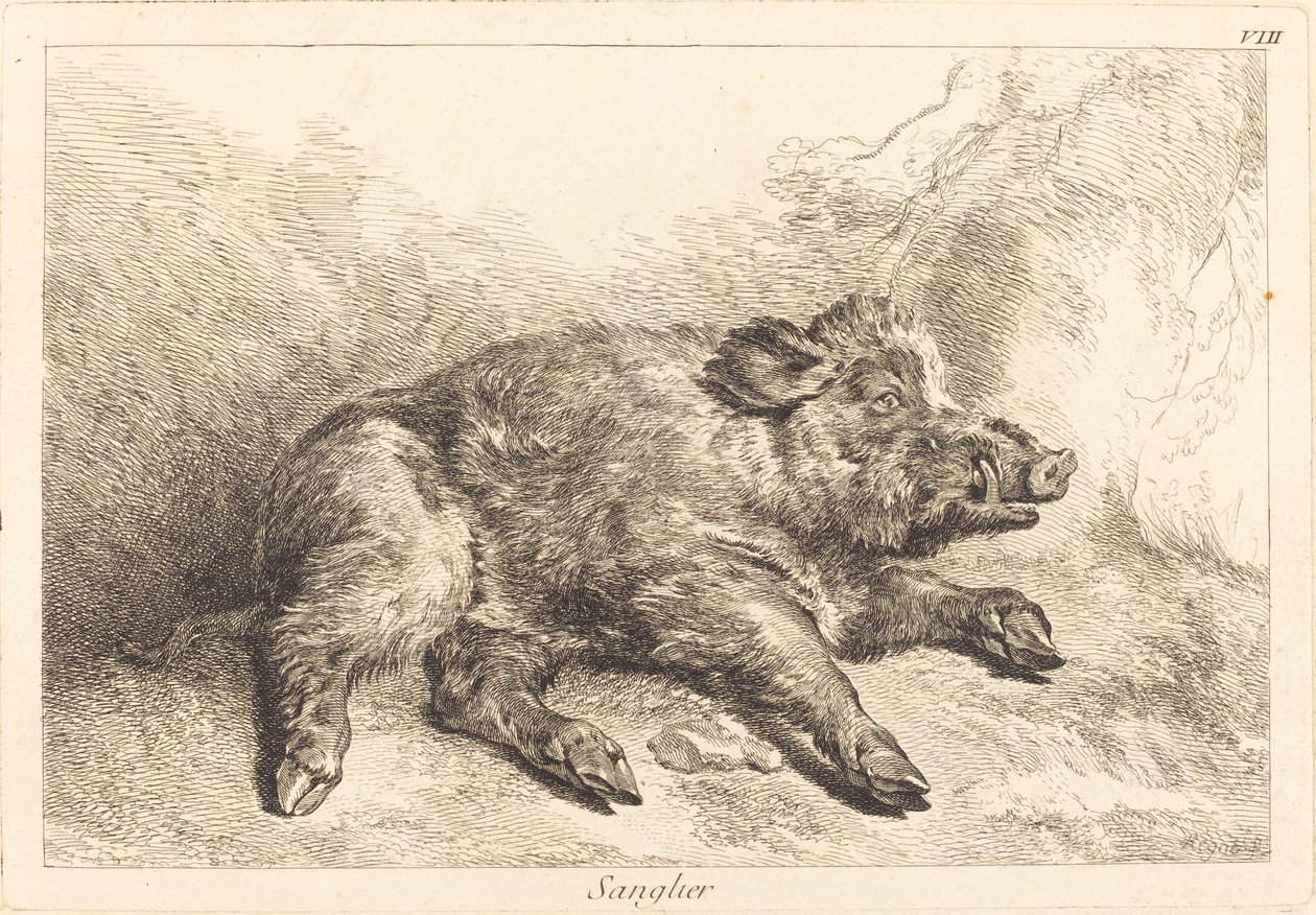 Sanglier (villsvin som ligger ned, gå til høyre) av Jacques Philippe Le Bas and Jean Eric Rehn after Jean Baptiste Oudry