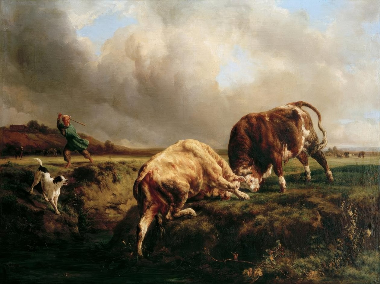 Oksekamp av Jacques Raymond Brascassat