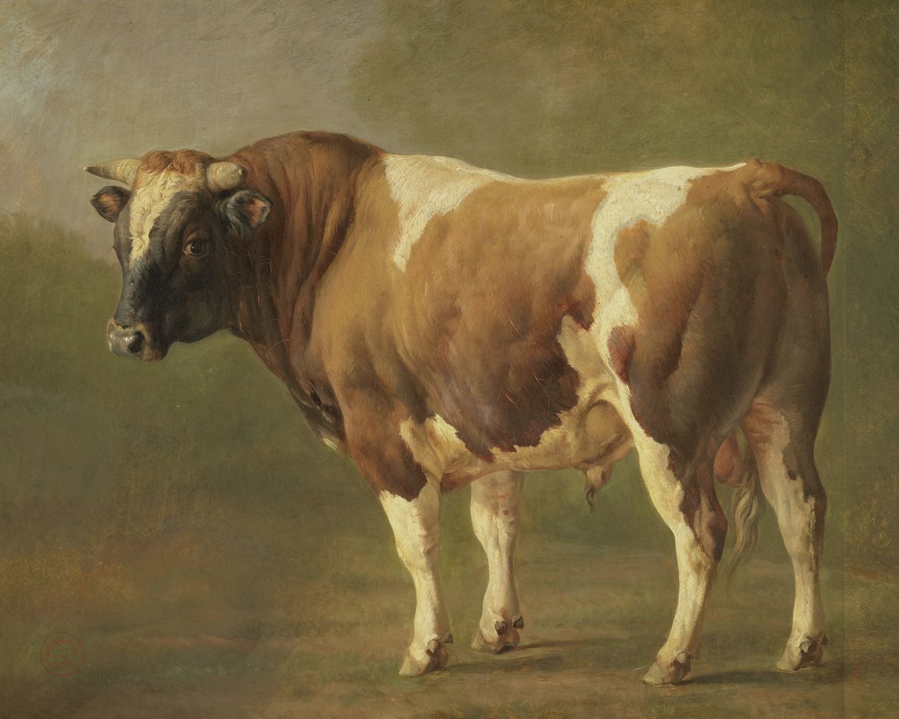 Studie av en okse av Jacques Raymond Brascassat