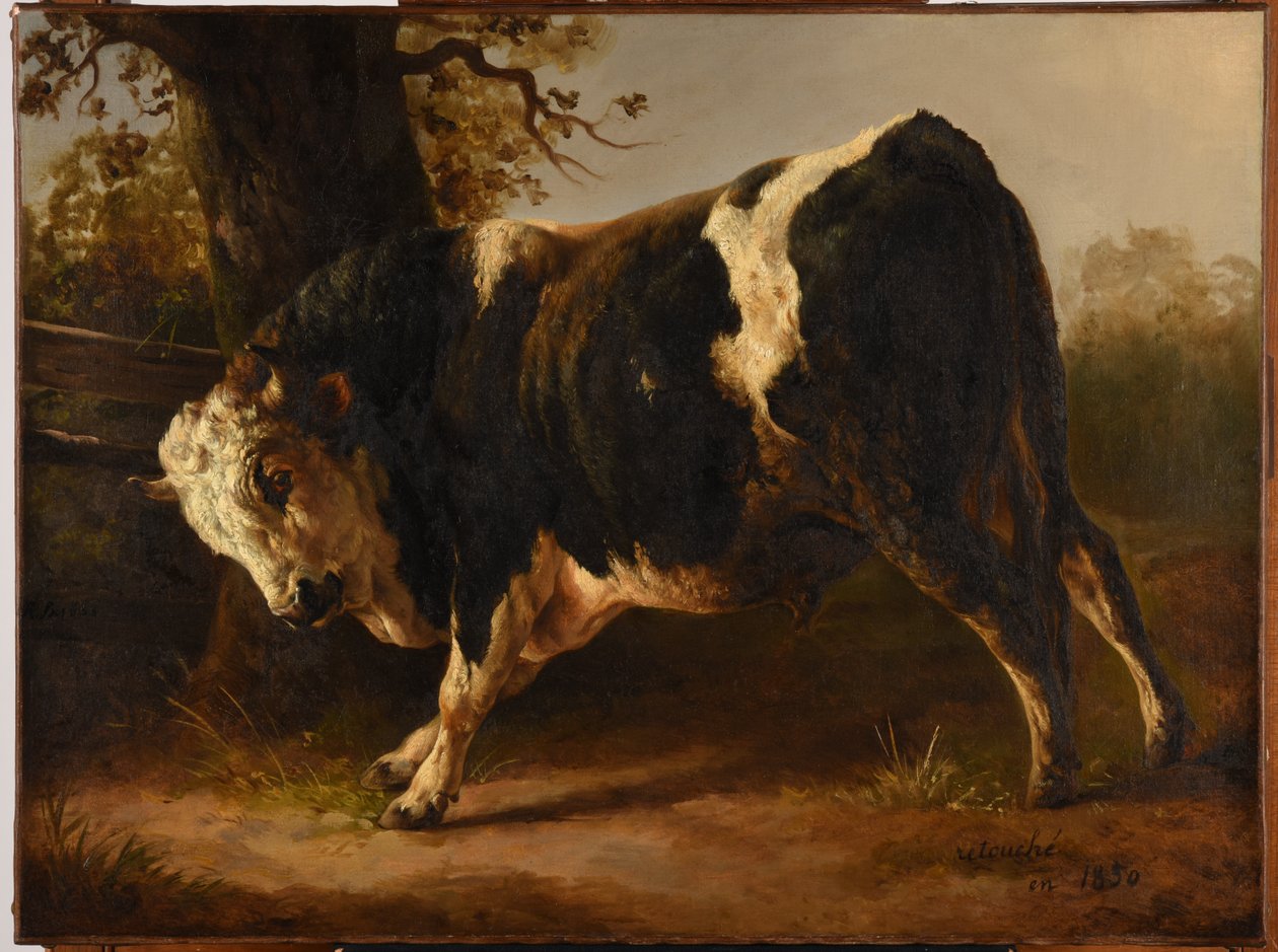  av Jacques Raymond Brascassat