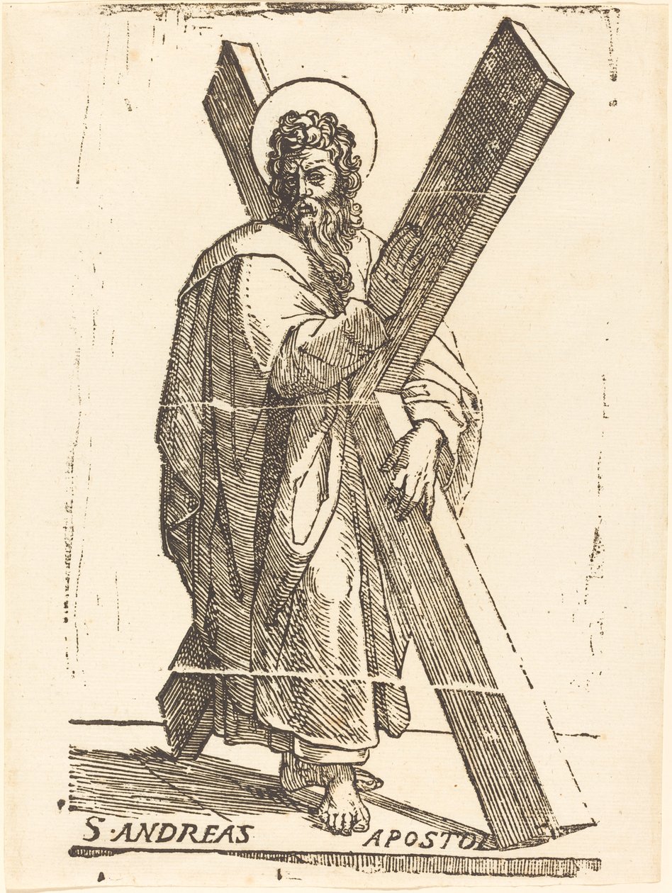 Saint Andrew av Jacques Stella