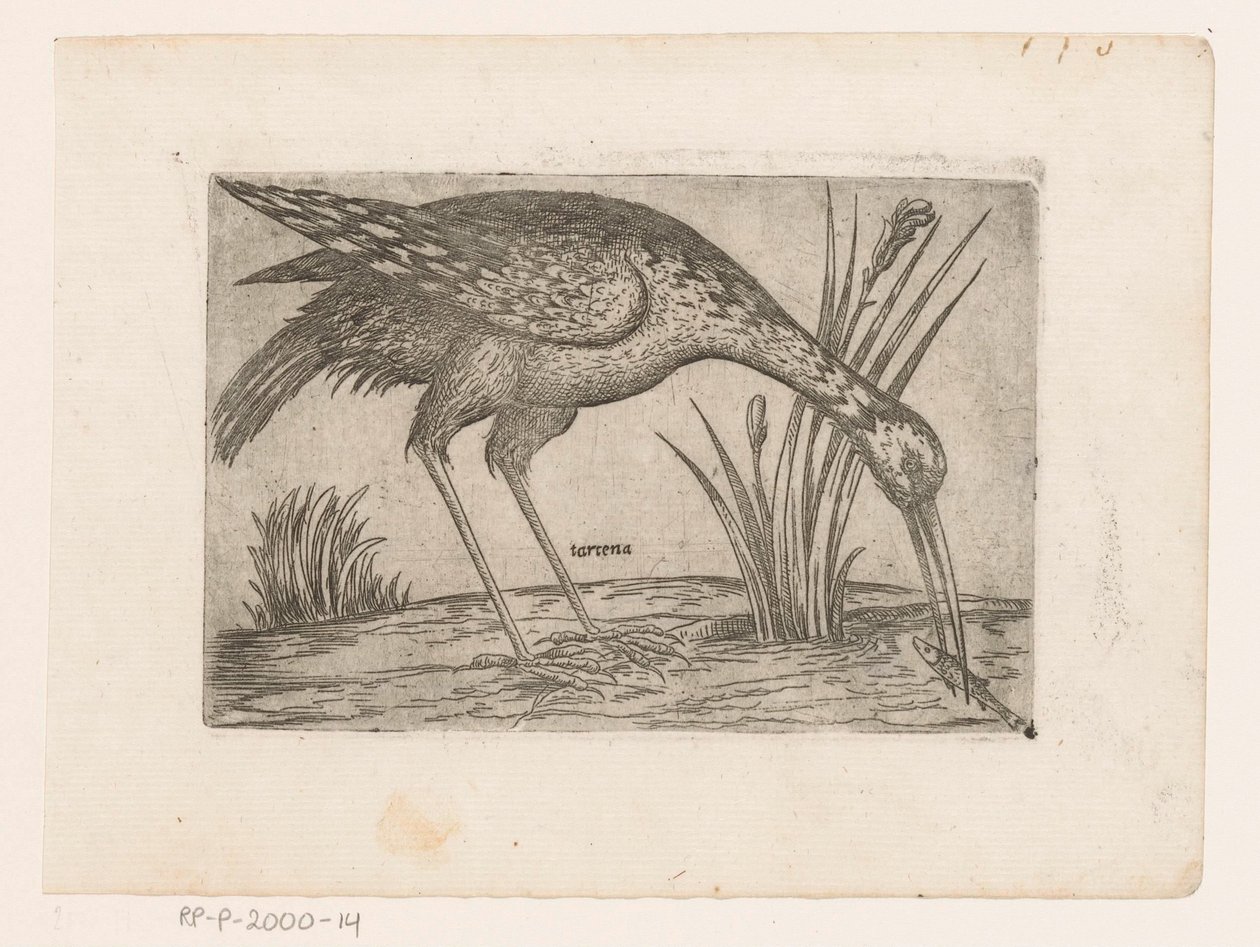 Vogel Tartena (tittel på objekt) Vogels (serietittel) av Jacques de Fornazeris (possibly)