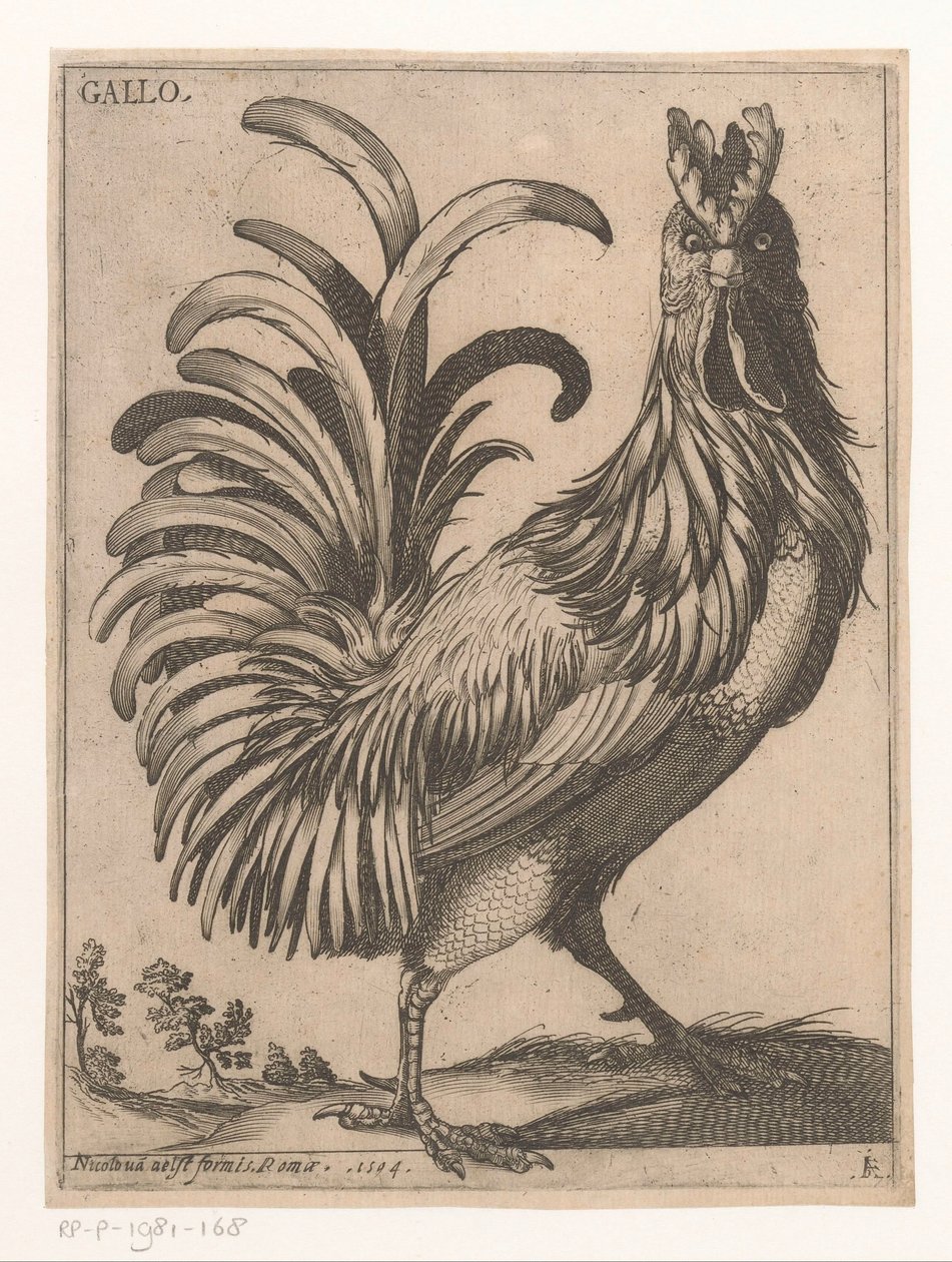 Rooster Gallo (tittel på objekt) Nine Birds (serietittel) av Jacques de Fornazeris
