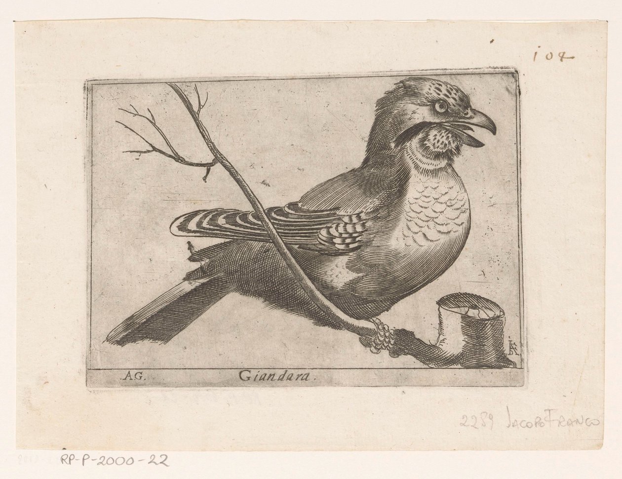 Jay (Garrulus glandarius) Giandara (tittel på objekt) Fugler (serietittel) av Jacques de Fornazeris