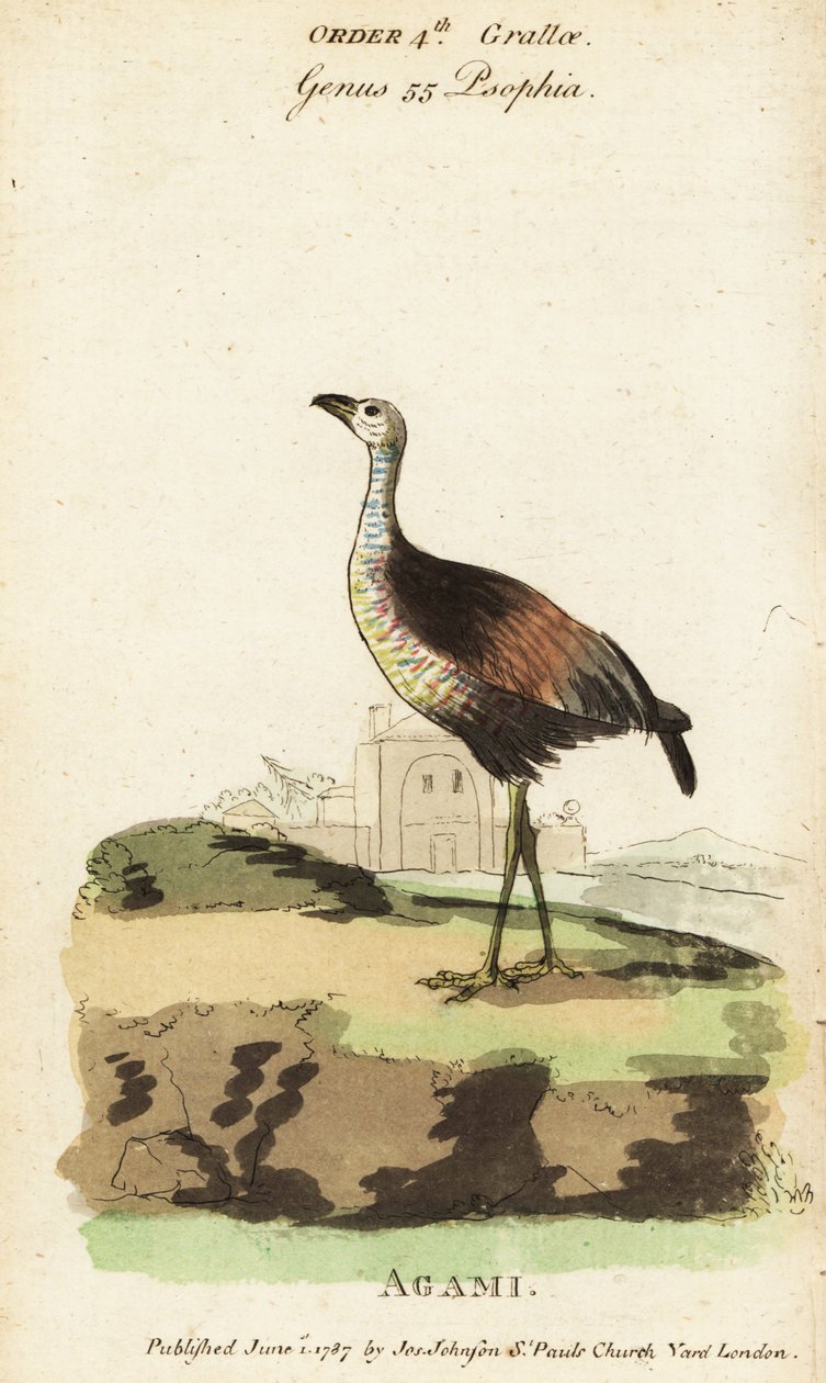 Neste er Heron, neste er neste av Jacques de Seve