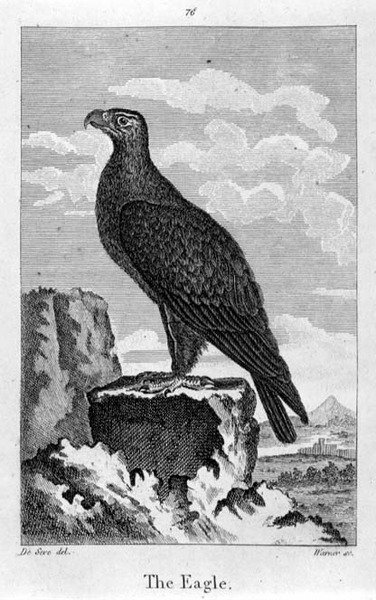 The Eagle, fra 
