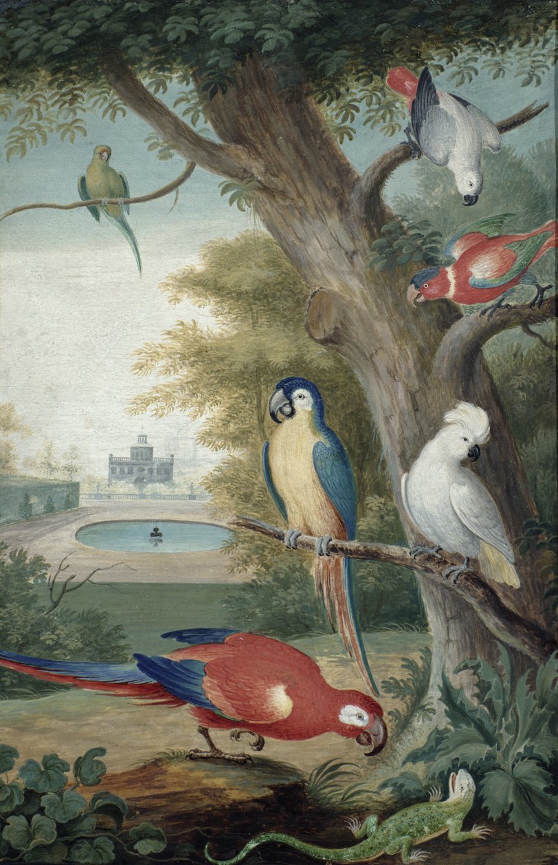 Papegøyer og en øgle i en pittoresk park, tidlig på 1700-tallet av Jakob Bogdani or Bogdany