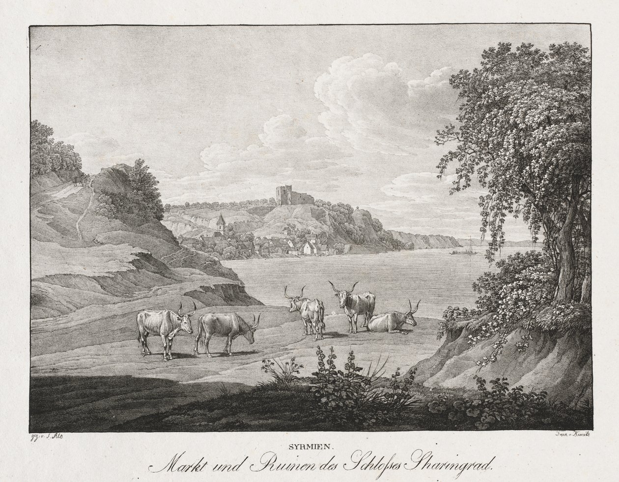 Syrmia, marked og ruinene av Sharengrad slott av Jakob Alt