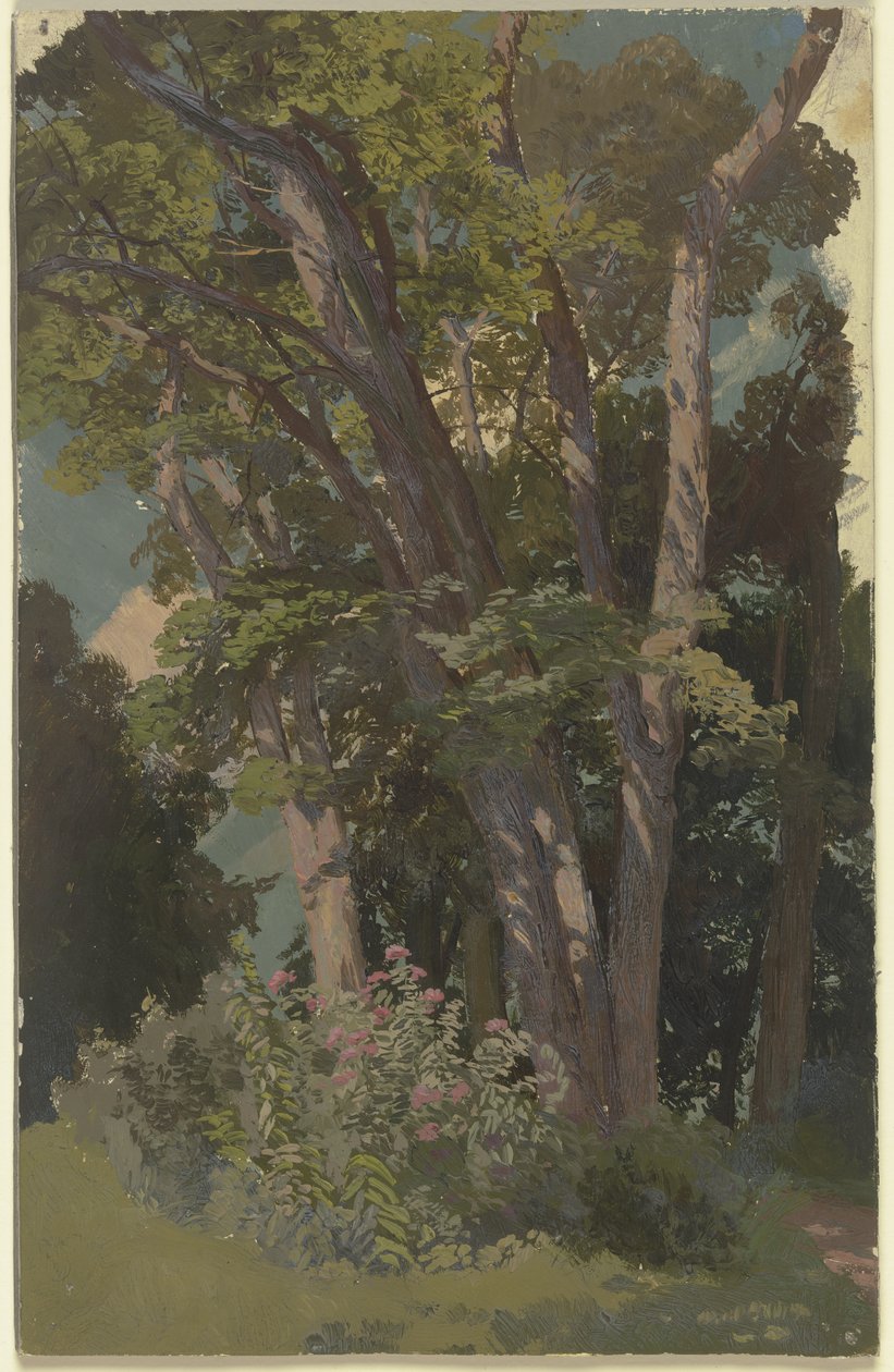 Parkstudie, lysning av Jakob Becker