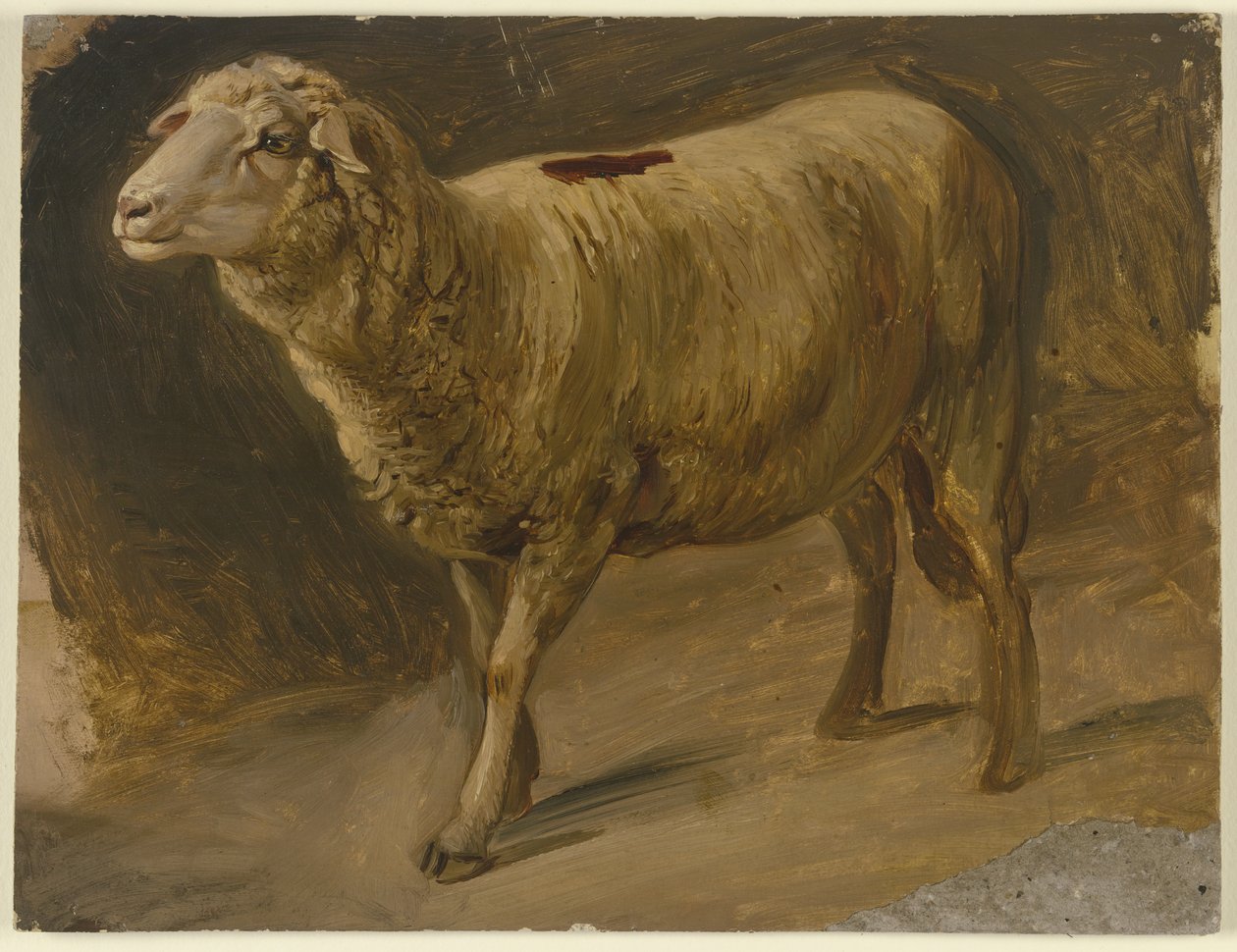 Sau av Jakob Becker