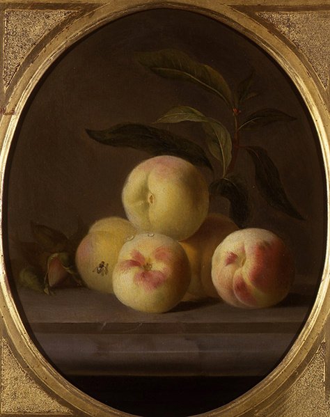 Stilleben av frukt med flue (olje på lerret) av Jakob Bogdani or Bogdany