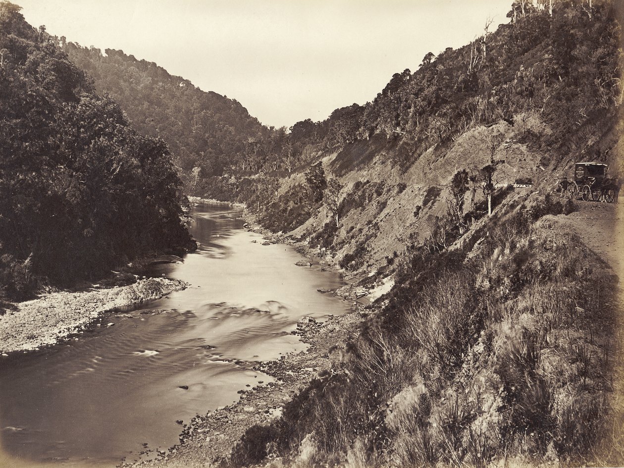 Manawatu Gorge 1 Mile From Bridge, 1878 (albumtrykk) av James Bragge