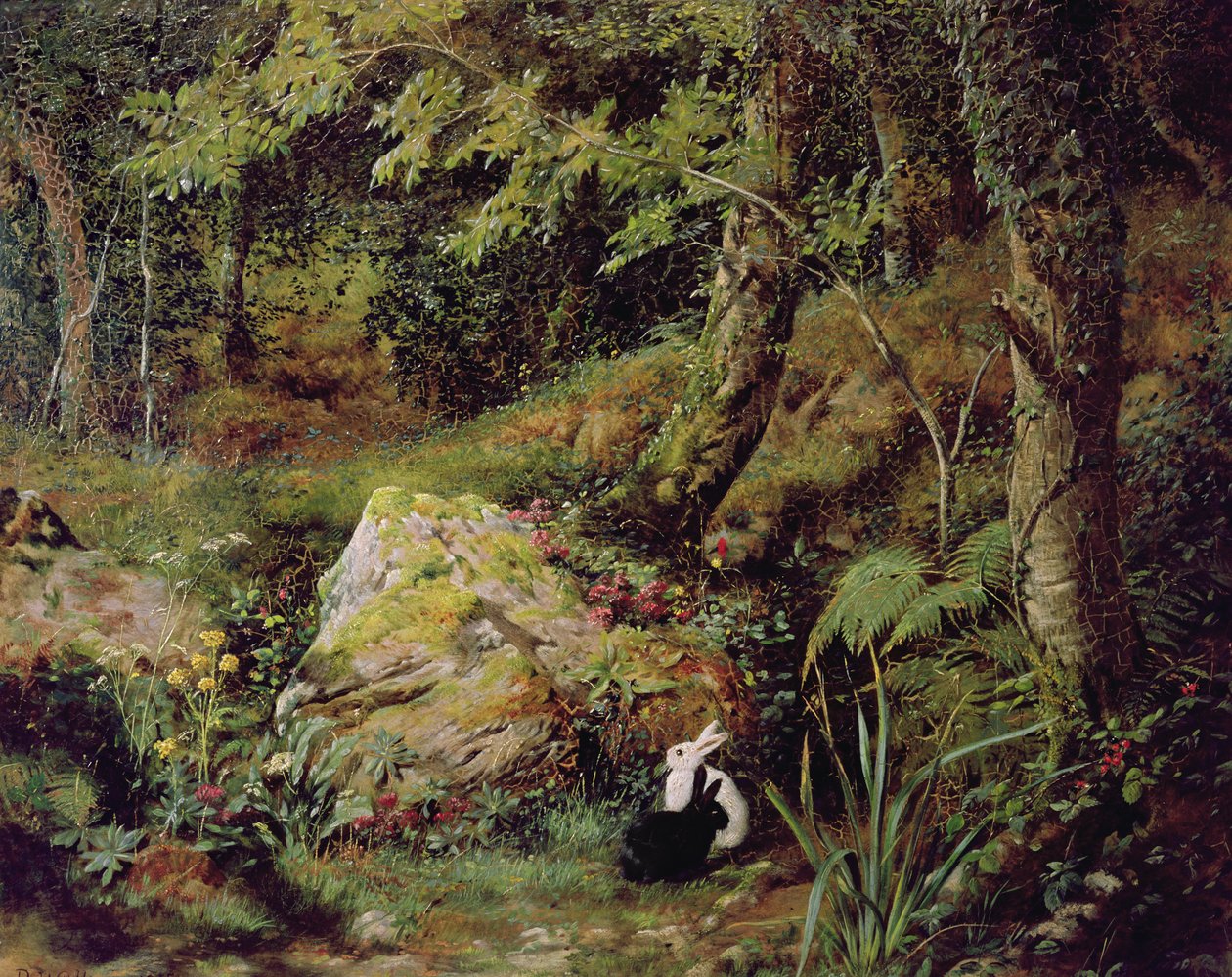 Herreløse kaniner av James Collinson