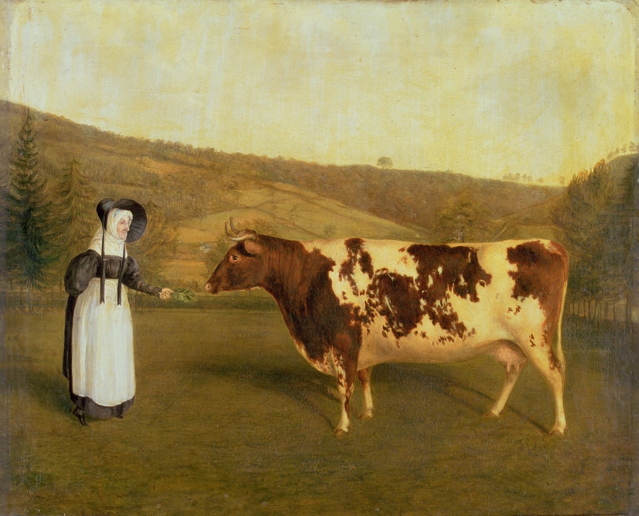 Korthornku, ca. 1840-50 av James Flewitt Mullock