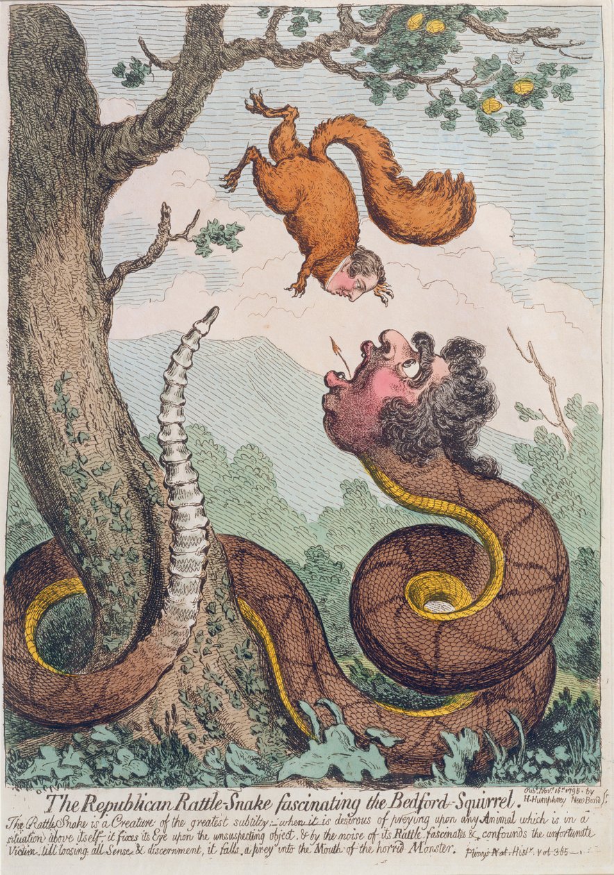 Den republikanske klapperslangen fascinerer Bedford-ekornet, utgitt av Hannah Humphrey i 1795 (håndfarget etsning) av James Gillray
