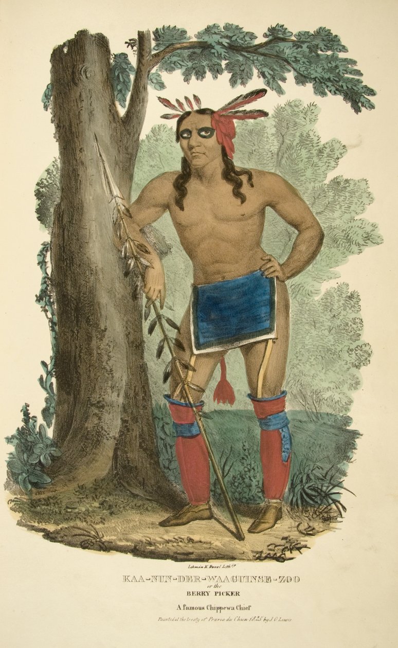 Kaa-nun-der-waaguinse-zoo eller bærplukkeren av James Otto Lewis