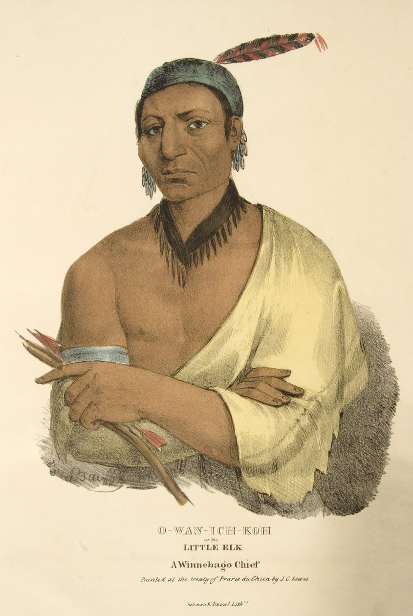 O-wan-ich-koh eller den lille elgen av James Otto Lewis