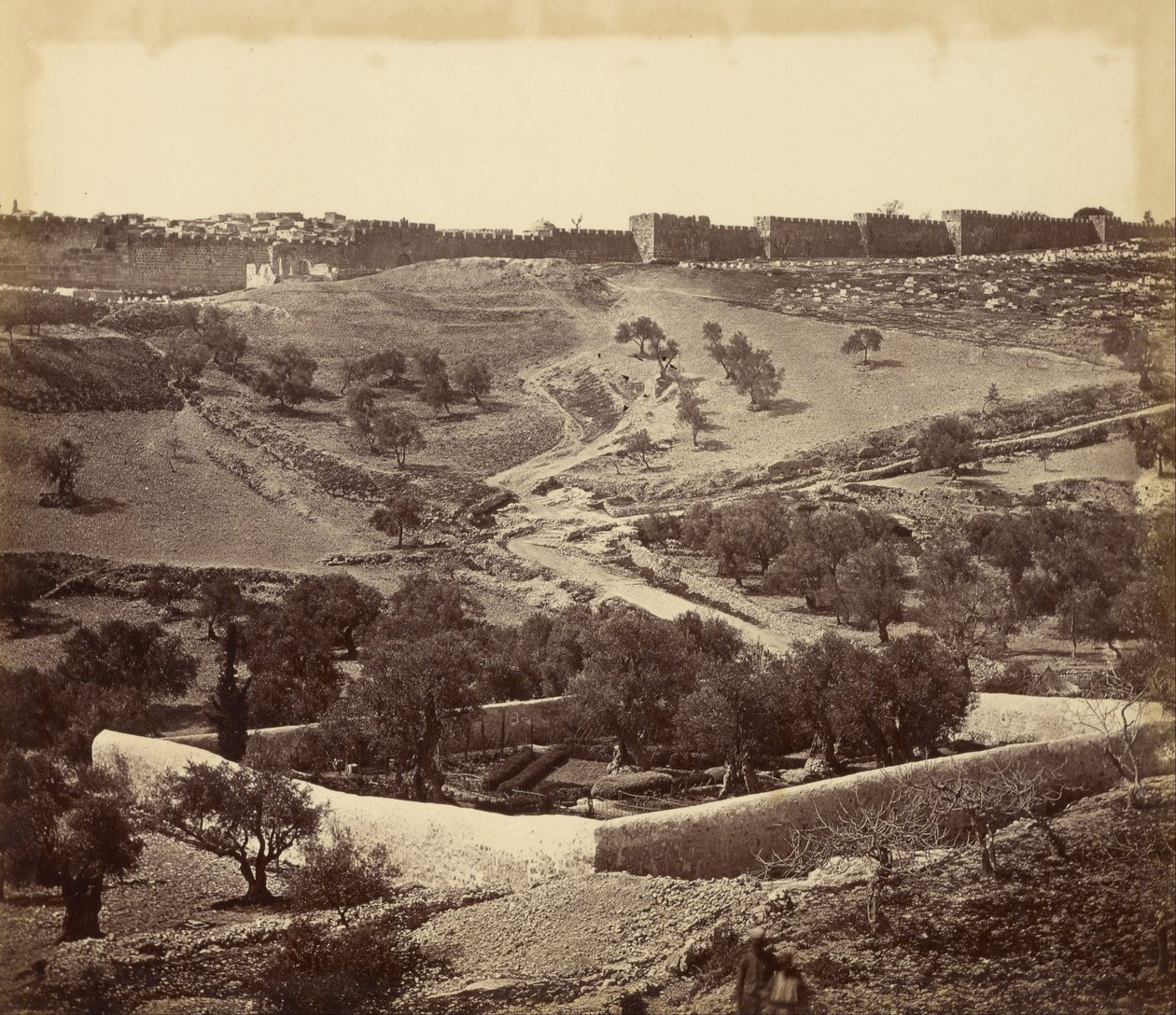 (Garden of Gethsemane and Ascent to Stephens Gate, Across the Josafat Valley) av James Robertson