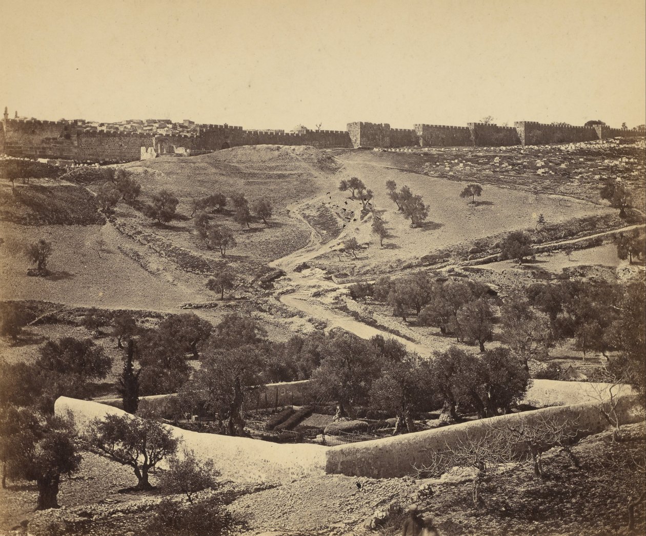 (Jerusalem. Getsemane hage) av James Robertson