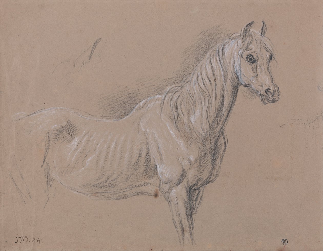 En hoppe- muligens en studie for LAmour de Cheval, datert 1827, i Tate Gallery av James Ward