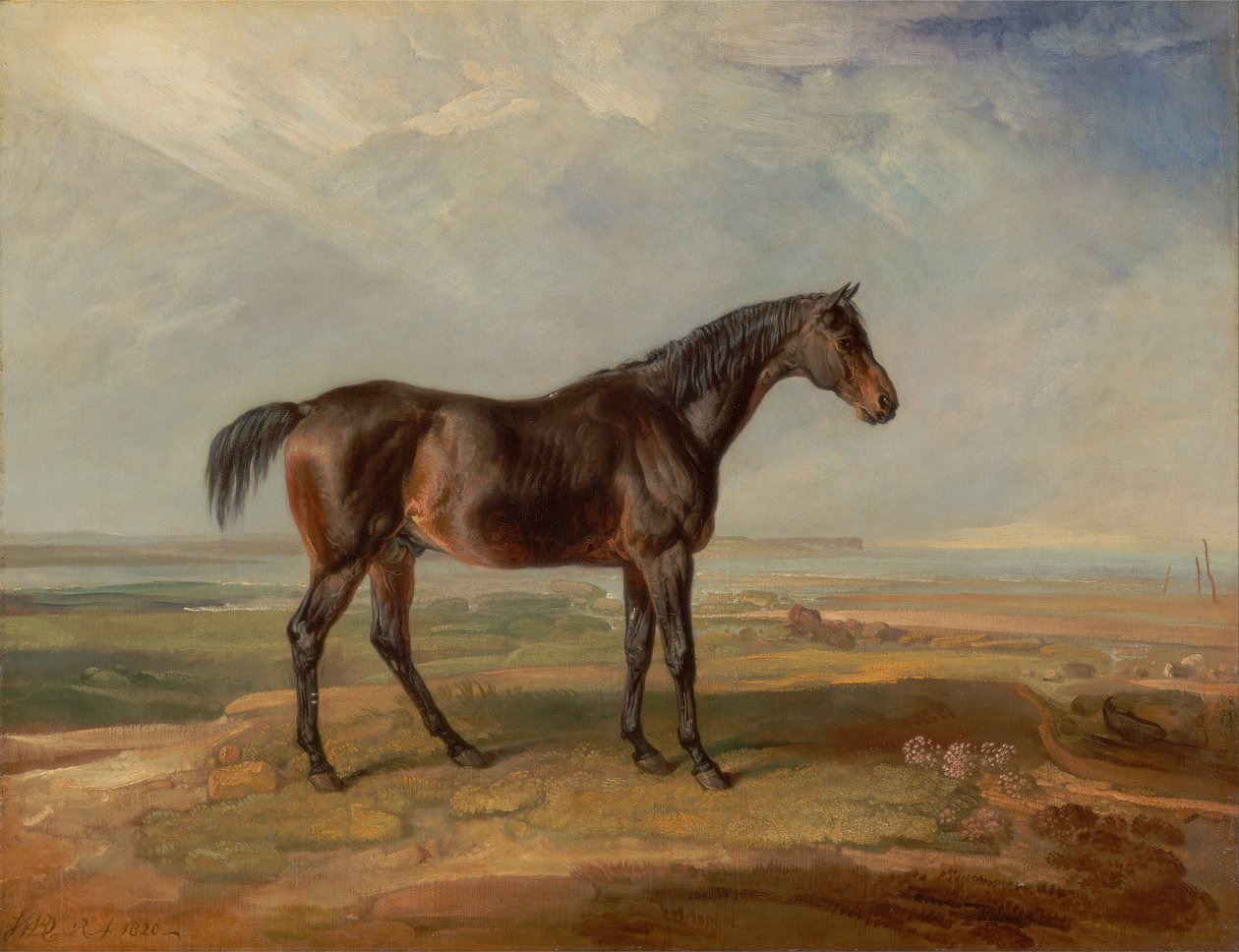 Dr. Syntax, en Bay Race Horse, Standing in a Coastal Landscape, en Estuary Beyond av James Ward