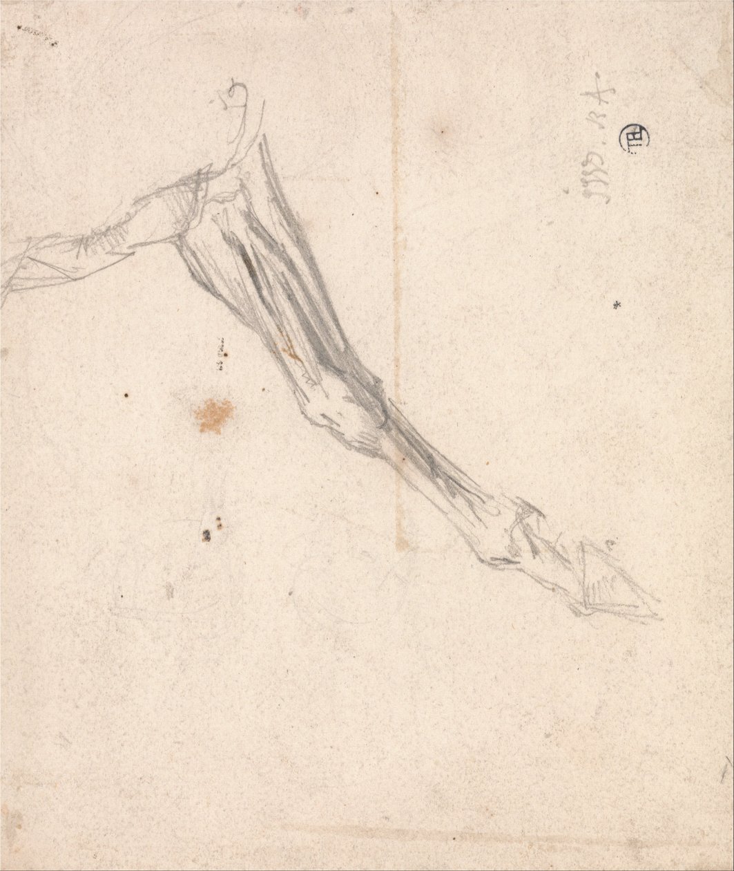 Hester forbenet- muligens en studie for LAmour de Cheval, datert 1827, i Tate Gallery av James Ward