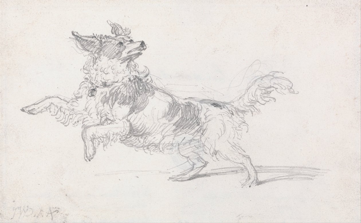 Lady Londonderrys Dog av James Ward